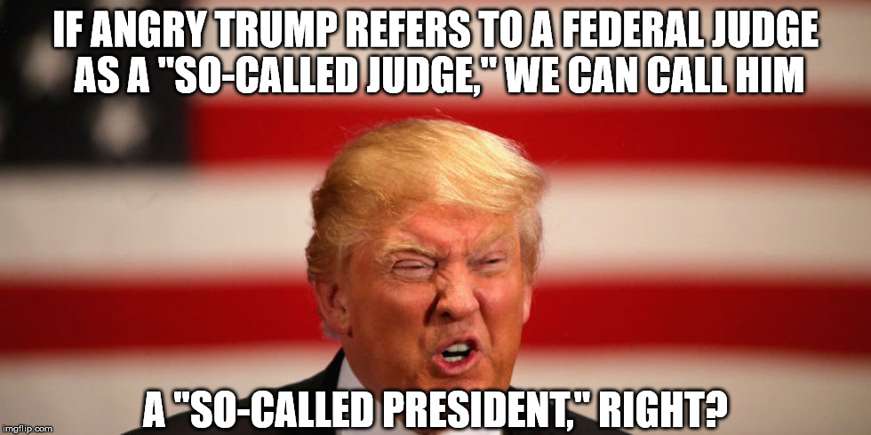 so-called president |  IF ANGRY TRUMP REFERS TO A FEDERAL JUDGE AS A "SO-CALLED JUDGE," WE CAN CALL HIM; A "SO-CALLED PRESIDENT," RIGHT? | image tagged in donald trump,angry trump | made w/ Imgflip meme maker