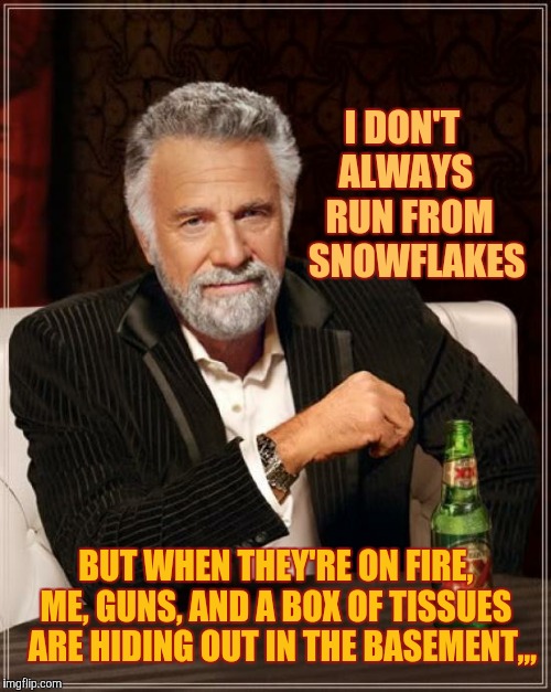 The Most Interesting Man In The World Meme | I DON'T   ALWAYS    RUN FROM    SNOWFLAKES; BUT WHEN THEY'RE ON FIRE, ME, GUNS, AND A BOX OF TISSUES   ARE HIDING OUT IN THE BASEMENT,,, | image tagged in memes,the most interesting man in the world | made w/ Imgflip meme maker