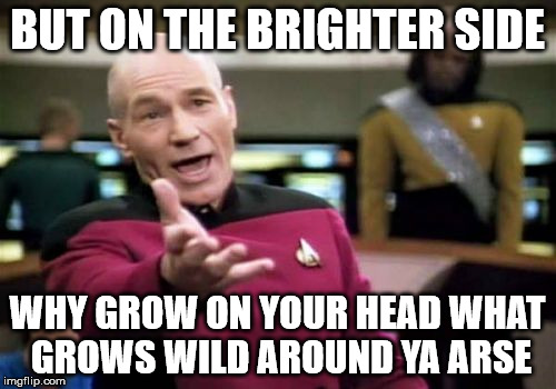 folically challenged | BUT ON THE BRIGHTER SIDE; WHY GROW ON YOUR HEAD WHAT GROWS WILD AROUND YA ARSE | image tagged in memes,picard wtf,baldness | made w/ Imgflip meme maker