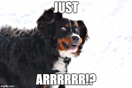 Crazy Dawg | JUST; ARRRRRR!? | image tagged in memes,crazy dawg | made w/ Imgflip meme maker