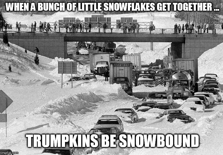 Snowbound | WHEN A BUNCH OF LITTLE SNOWFLAKES GET TOGETHER ... TRUMPKINS BE SNOWBOUND | image tagged in snowflakes,anti trump | made w/ Imgflip meme maker