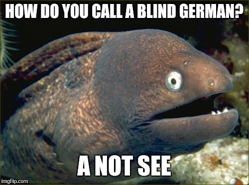 Bad Joke Eel | HOW DO YOU CALL A BLIND GERMAN? A NOT SEE | image tagged in memes,bad joke eel | made w/ Imgflip meme maker