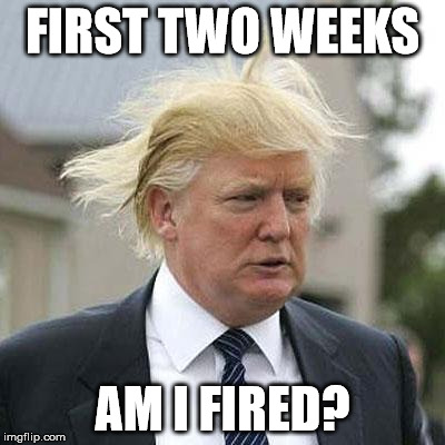 Donald Trump | FIRST TWO WEEKS; AM I FIRED? | image tagged in donald trump | made w/ Imgflip meme maker
