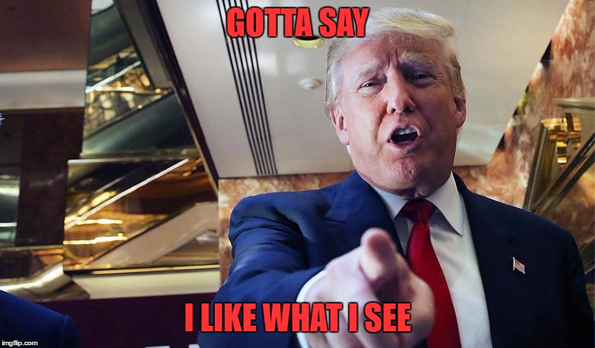 Trump I Want You | GOTTA SAY I LIKE WHAT I SEE | image tagged in trump burn | made w/ Imgflip meme maker