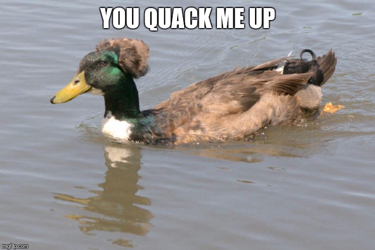 YOU QUACK ME UP | made w/ Imgflip meme maker