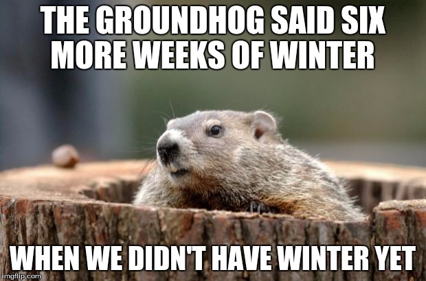 Groundhog | THE GROUNDHOG SAID SIX MORE WEEKS OF WINTER; WHEN WE DIDN'T HAVE WINTER YET | image tagged in groundhog | made w/ Imgflip meme maker