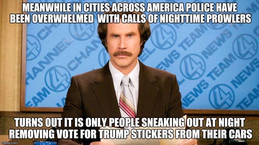 ron burgundy | MEANWHILE IN CITIES ACROSS AMERICA POLICE HAVE BEEN OVERWHELMED  WITH CALLS OF NIGHTTIME PROWLERS; TURNS OUT IT IS ONLY PEOPLE SNEAKING OUT AT NIGHT REMOVING VOTE FOR TRUMP STICKERS FROM THEIR CARS | image tagged in ron burgundy | made w/ Imgflip meme maker
