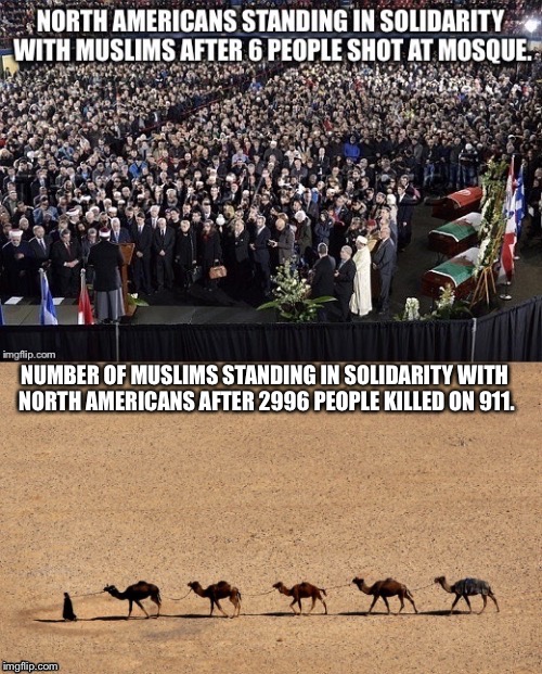What Liberals don't want you to think about. | NUMBER OF MUSLIMS STANDING IN SOLIDARITY WITH NORTH AMERICANS AFTER 2996 PEOPLE KILLED ON 911. | image tagged in muslims,trump,liberals,liberal logic | made w/ Imgflip meme maker