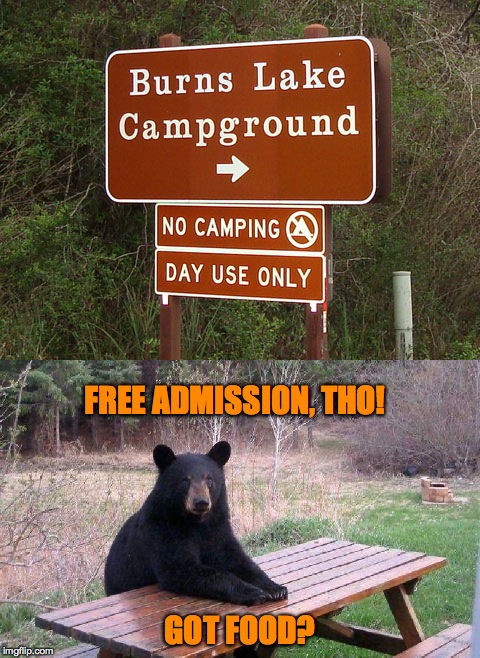 campground craziness | FREE ADMISSION, THO! GOT FOOD? | image tagged in complete with attendant | made w/ Imgflip meme maker