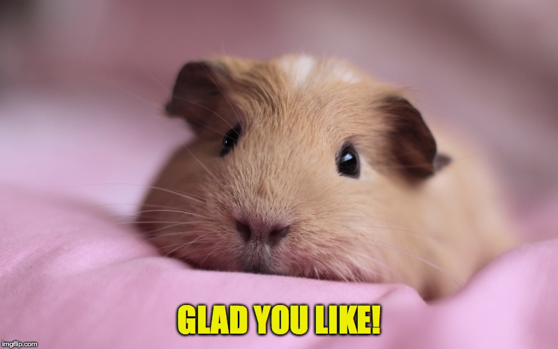 GLAD YOU LIKE! | made w/ Imgflip meme maker