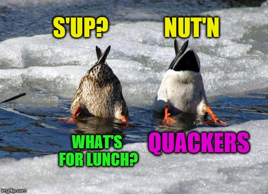 S'UP?             NUT'N; WHAT'S FOR LUNCH? QUACKERS | image tagged in ducks,funny memes | made w/ Imgflip meme maker