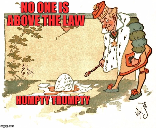 checked | NO ONE IS ABOVE THE LAW; HUMPTY TRUMPTY | image tagged in political correctness,donald trump the clown,donald trump you're fired,funny memes,reality check | made w/ Imgflip meme maker