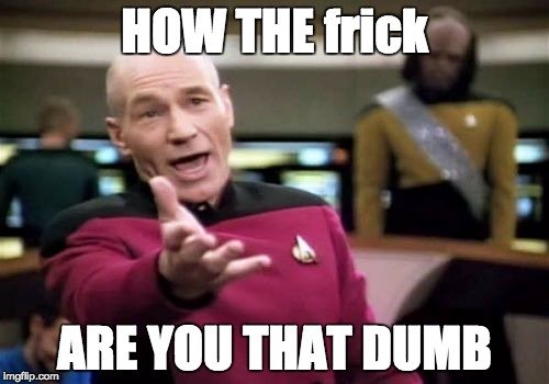 Picard Wtf Meme | HOW THE frick; ARE YOU THAT DUMB | image tagged in memes,picard wtf | made w/ Imgflip meme maker