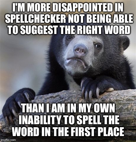 Confession Bear Meme | I'M MORE DISAPPOINTED IN SPELLCHECKER NOT BEING ABLE TO SUGGEST THE RIGHT WORD; THAN I AM IN MY OWN INABILITY TO SPELL THE WORD IN THE FIRST PLACE | image tagged in memes,confession bear | made w/ Imgflip meme maker