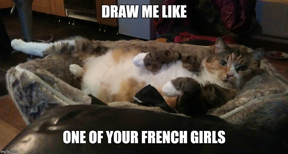 DRAW ME LIKE; ONE OF YOUR FRENCH GIRLS | image tagged in draw me like one of your french girls,cats | made w/ Imgflip meme maker