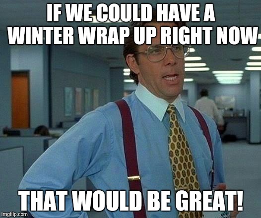 That Would Be Great Meme | IF WE COULD HAVE A WINTER WRAP UP RIGHT NOW; THAT WOULD BE GREAT! | image tagged in memes,that would be great | made w/ Imgflip meme maker