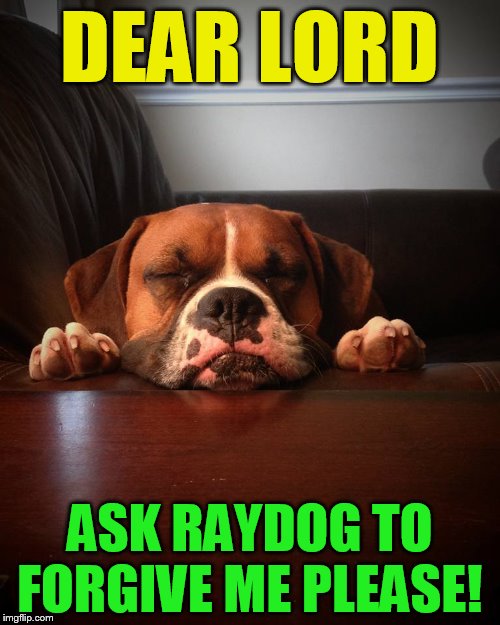 Prayer dog | DEAR LORD; ASK RAYDOG TO FORGIVE ME PLEASE! | image tagged in prayer dog | made w/ Imgflip meme maker