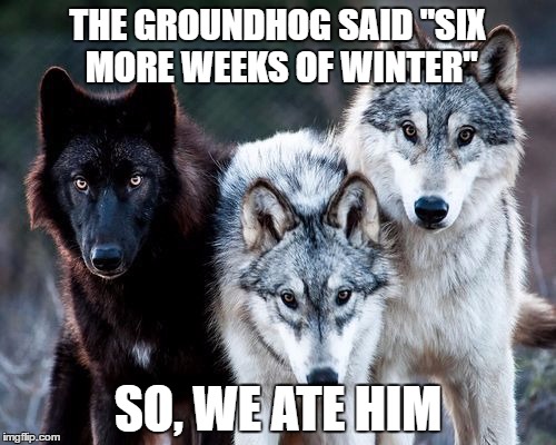  Wolfpack  | THE GROUNDHOG SAID "SIX MORE WEEKS OF WINTER"; SO, WE ATE HIM | image tagged in wolfpack | made w/ Imgflip meme maker