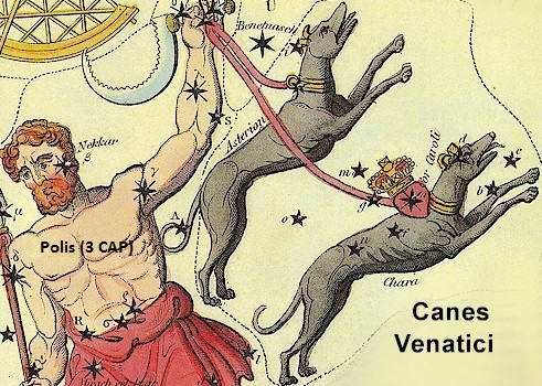 Polis and Canes Venatici Blank Meme Template