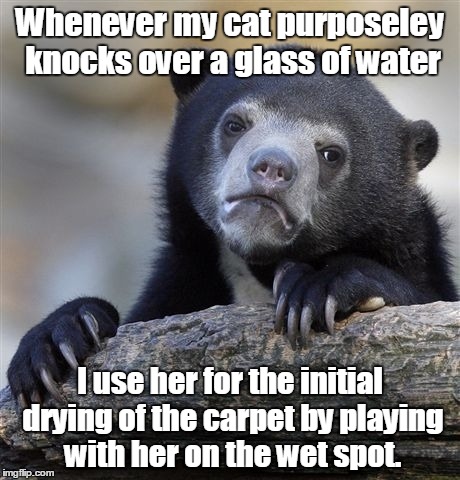 Confession Bear Meme | Whenever my cat purposeley knocks over a glass of water; I use her for the initial drying of the carpet by playing with her on the wet spot. | image tagged in memes,confession bear | made w/ Imgflip meme maker