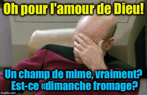 Captain Picard Facepalm Meme | Oh pour l'amour de Dieu! Un champ de mime, vraiment? Est-ce «dimanche fromage? | image tagged in memes,captain picard facepalm | made w/ Imgflip meme maker