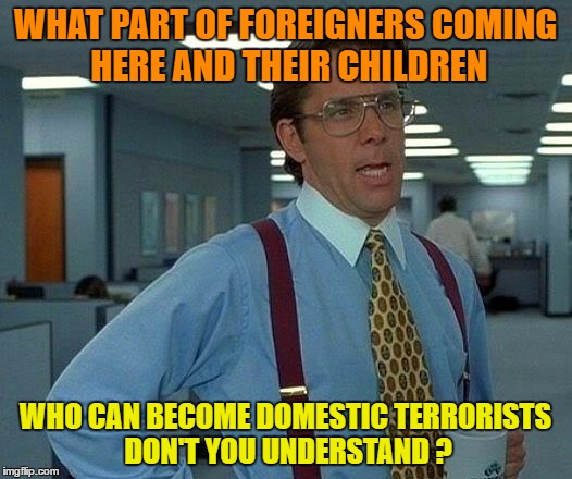 That Would Be Great | WHAT PART OF FOREIGNERS COMING HERE AND THEIR CHILDREN; WHO CAN BECOME DOMESTIC TERRORISTS DON'T YOU UNDERSTAND ? | image tagged in memes,that would be great | made w/ Imgflip meme maker