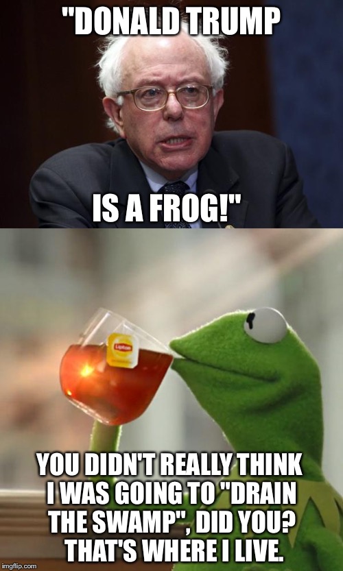 Bernie Sanders' revelation | "DONALD TRUMP; IS A FROG!"; YOU DIDN'T REALLY THINK I WAS GOING TO "DRAIN THE SWAMP", DID YOU?  THAT'S WHERE I LIVE. | image tagged in memes,donald trump,kermit the frog,bernie sanders | made w/ Imgflip meme maker