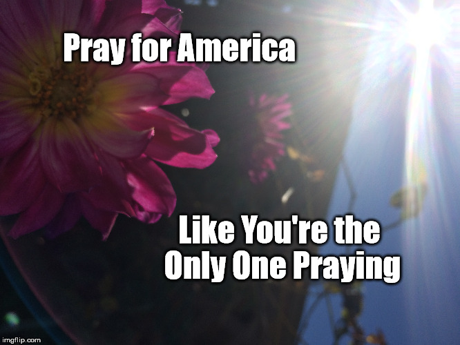 Pray for America Like You're the Only One Praying | Pray for America; Like You're the Only One Praying | image tagged in bible,prayer | made w/ Imgflip meme maker