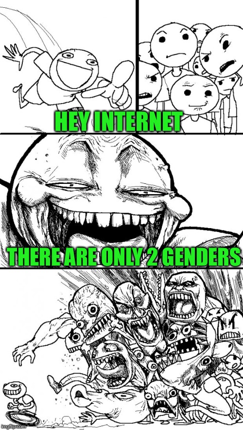 Hey Internet Meme | HEY INTERNET; THERE ARE ONLY 2 GENDERS | image tagged in memes,hey internet | made w/ Imgflip meme maker