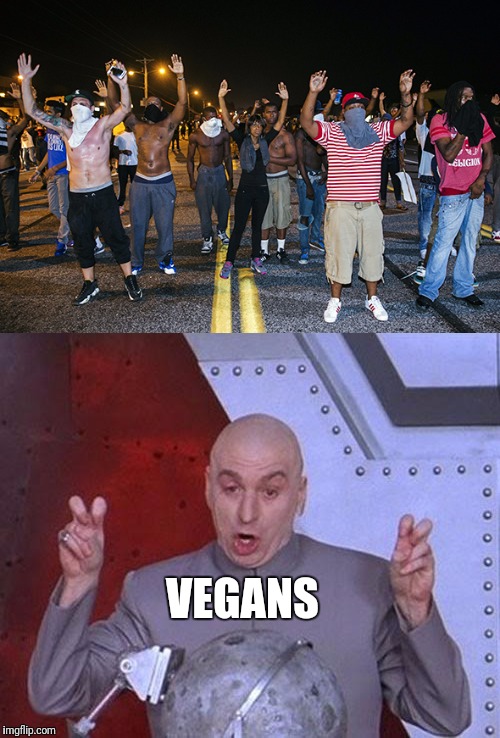 VEGANS | made w/ Imgflip meme maker