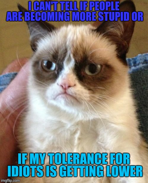 Grumpy Cat Meme | I CAN'T TELL IF PEOPLE ARE BECOMING MORE STUPID OR; IF MY TOLERANCE FOR IDIOTS IS GETTING LOWER | image tagged in memes,grumpy cat | made w/ Imgflip meme maker