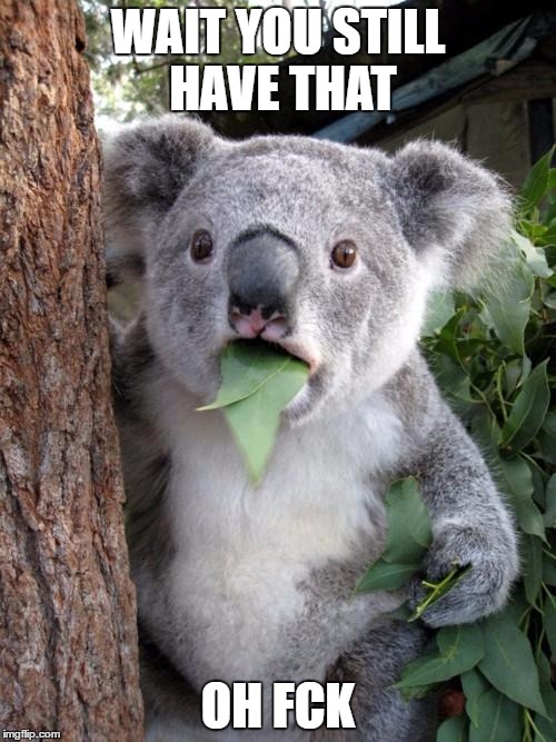 Surprised Koala Meme | WAIT YOU STILL HAVE THAT; OH FCK | image tagged in memes,surprised koala | made w/ Imgflip meme maker