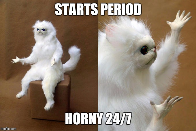 White Cat What 2 | STARTS PERIOD; HORNY 24/7 | image tagged in white cat what 2 | made w/ Imgflip meme maker