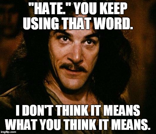 Inigo Montoya Meme | "HATE." YOU KEEP USING THAT WORD. I DON'T THINK IT MEANS WHAT YOU THINK IT MEANS. | image tagged in memes,inigo montoya | made w/ Imgflip meme maker