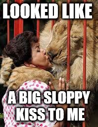 LOOKED LIKE A BIG SLOPPY KISS TO ME | made w/ Imgflip meme maker