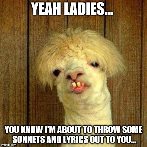 yeah ladies | YEAH LADIES... YOU KNOW I'M ABOUT TO THROW SOME SONNETS AND LYRICS OUT TO YOU... | image tagged in funny memes | made w/ Imgflip meme maker