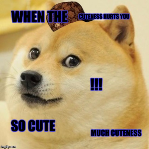 Doge | CUTENESS HURTS YOU; WHEN THE; !!! SO CUTE; MUCH CUTENESS | image tagged in memes,doge,scumbag | made w/ Imgflip meme maker