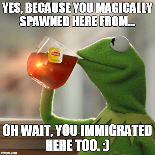 But That's None Of My Business Meme | YES, BECAUSE YOU MAGICALLY SPAWNED HERE FROM... OH WAIT, YOU IMMIGRATED HERE TOO. :) | image tagged in memes,but thats none of my business,kermit the frog | made w/ Imgflip meme maker