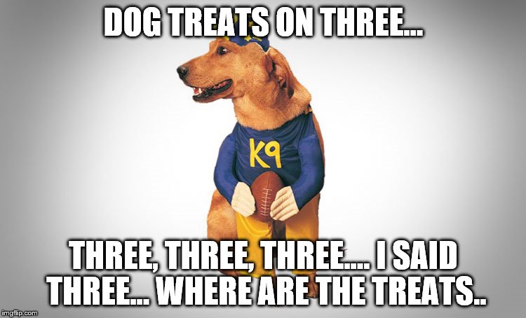 dog treats | DOG TREATS ON THREE... THREE, THREE, THREE.... I SAID THREE... WHERE ARE THE TREATS.. | image tagged in treats | made w/ Imgflip meme maker