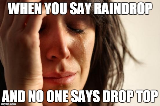First World Problems | WHEN YOU SAY RAINDROP; AND NO ONE SAYS DROP TOP | image tagged in memes,first world problems | made w/ Imgflip meme maker