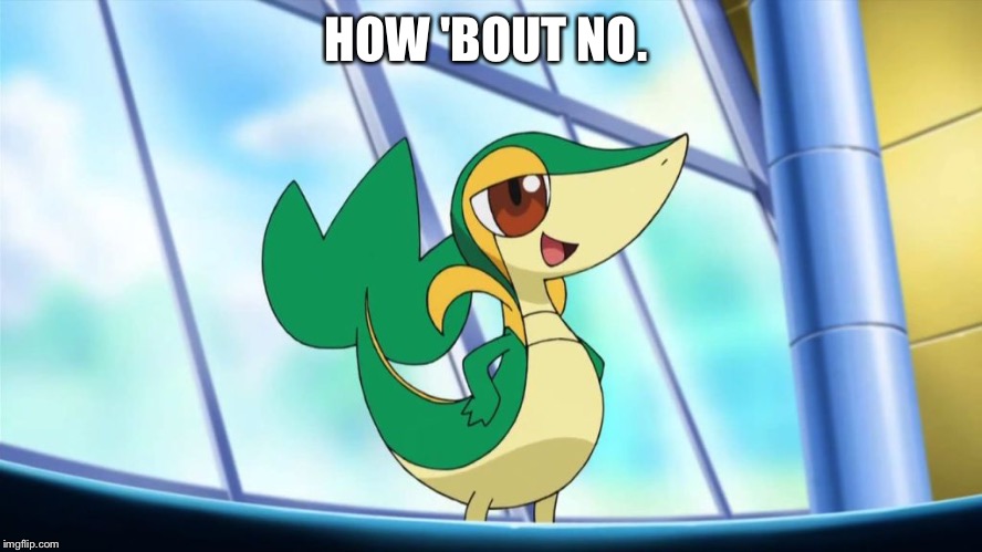Snivy | HOW 'BOUT NO. | image tagged in snivy | made w/ Imgflip meme maker