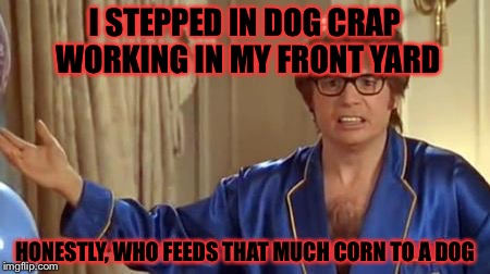 Talk about a corn dog, sheesh! | I STEPPED IN DOG CRAP WORKING IN MY FRONT YARD; HONESTLY, WHO FEEDS THAT MUCH CORN TO A DOG | image tagged in memes,austin powers honestly | made w/ Imgflip meme maker