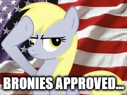 Patriotic Derpy Hooves | BRONIES APPROVED... | image tagged in patriotic derpy hooves | made w/ Imgflip meme maker