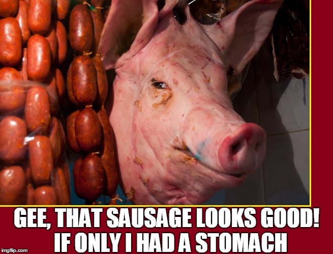 You cut off My Head, but not My Hunger | GEE, THAT SAUSAGE LOOKS GOOD!  IF ONLY I HAD A STOMACH | image tagged in vince vance,sausages,pigs are cannibals,i love bacon,hog's head hanging at market,porky pig | made w/ Imgflip meme maker