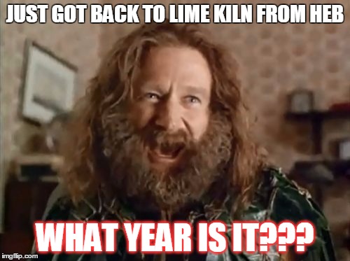 What Year Is It Meme | JUST GOT BACK TO LIME KILN FROM HEB; WHAT YEAR IS IT??? | image tagged in memes,what year is it | made w/ Imgflip meme maker