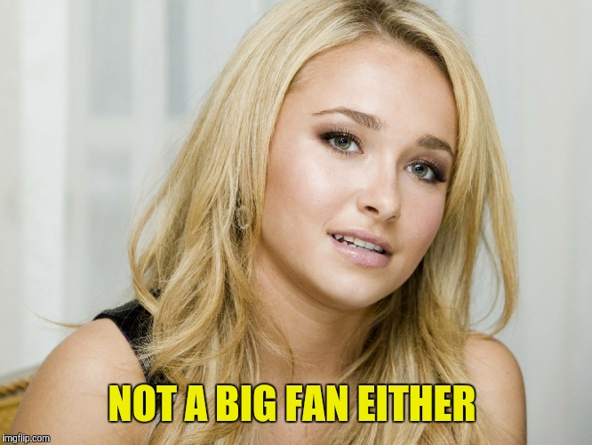 NOT A BIG FAN EITHER | made w/ Imgflip meme maker