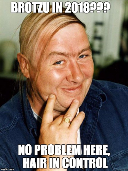 BROTZU IN 2018??? NO PROBLEM HERE, HAIR IN CONTROL | made w/ Imgflip meme maker