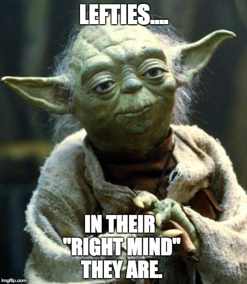 Star Wars Yoda Meme | LEFTIES.... IN THEIR "RIGHT MIND" THEY ARE. | image tagged in memes,star wars yoda | made w/ Imgflip meme maker