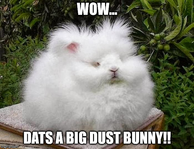 Dust bunny | WOW... DATS A BIG DUST BUNNY!! | image tagged in memes | made w/ Imgflip meme maker