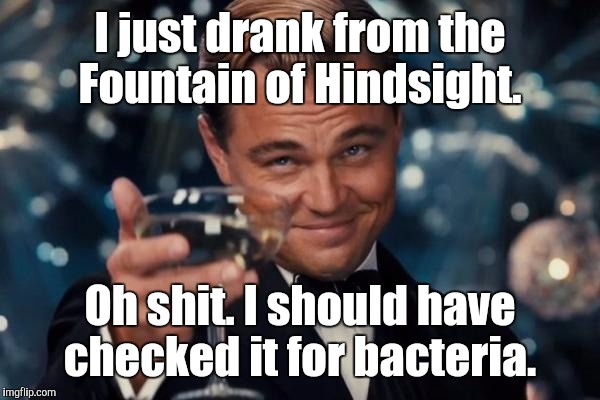 Leonardo Dicaprio Cheers Meme | I just drank from the Fountain of Hindsight. Oh shit. I should have checked it for bacteria. | image tagged in memes,leonardo dicaprio cheers | made w/ Imgflip meme maker